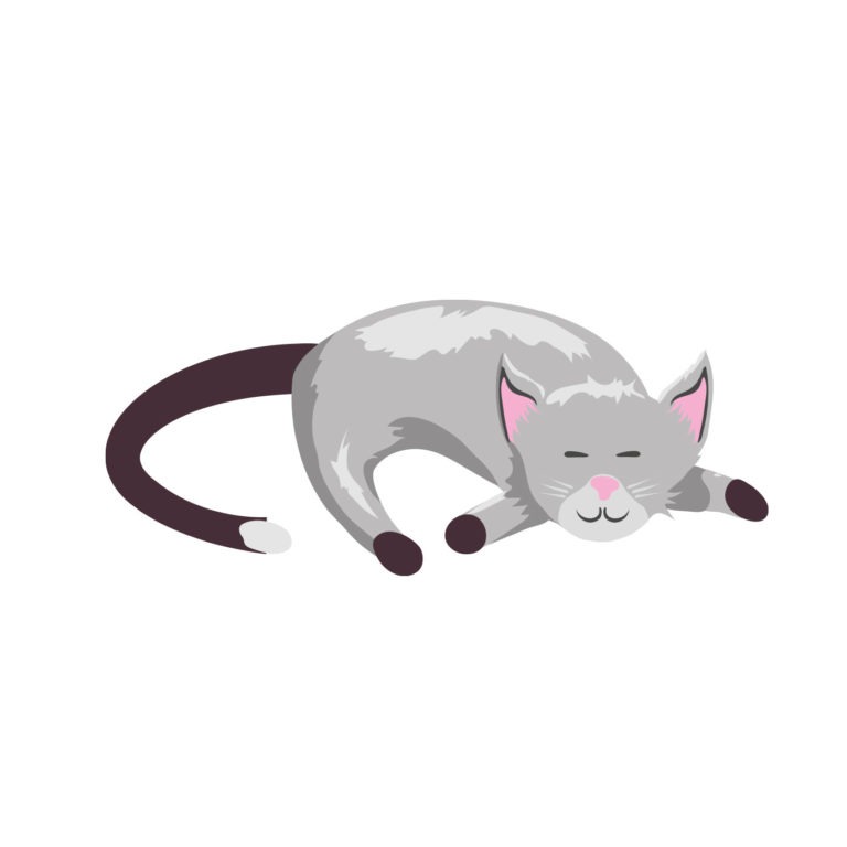 GATO