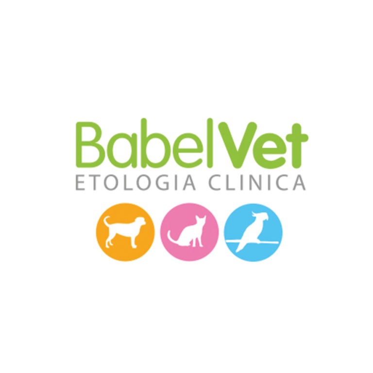 babelvet